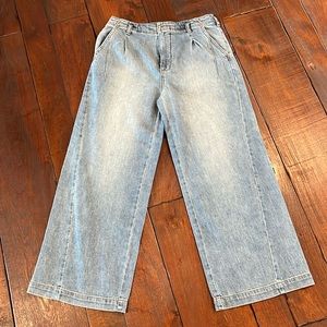 Anthropologies Pilot wide leg jeans